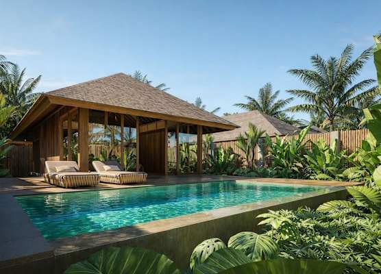 Kappa Senses Zanzibar 1