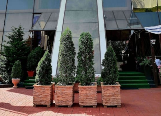 Hotel Tecadra 1