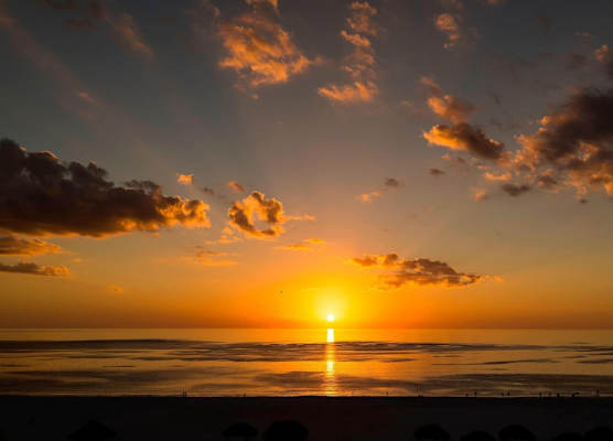 JW Marriott Marco Island Beach Resort 1