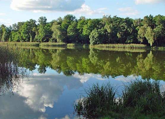 Hotel & SPA Sommerfeld - Adults Only 1
