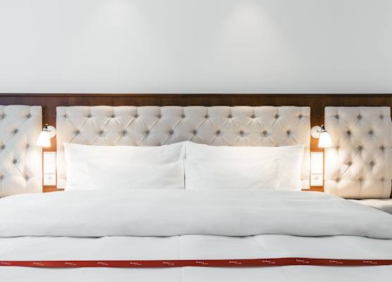 Ruby Lissi Hotel Vienna by IHG 1