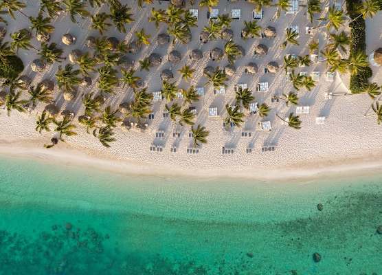 Catalonia Bavaro Beach Resort 1