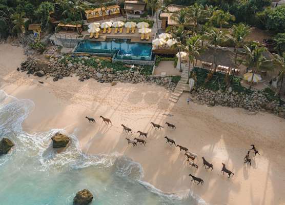 NIHI Sumba - 50 Best Hotels of the World 1