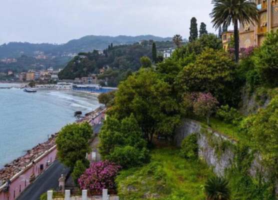 Hotel Shelley & Delle Palme 1