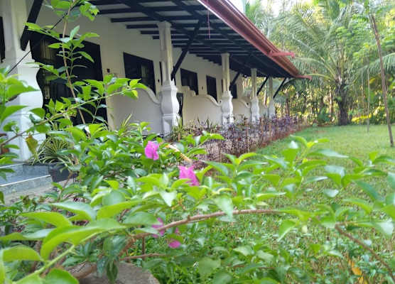 AMRON RESORT SIGIRIYA 1