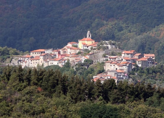 Park Hotel La Pineta 1
