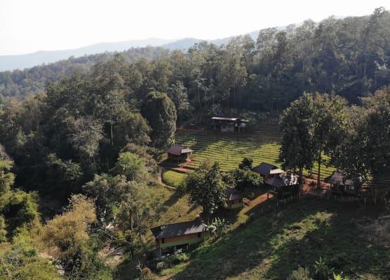 Chiang Mai Elephant Friends 1