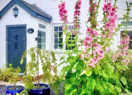 18th Century Cosy Cottage near Stratford Upon Avon 1