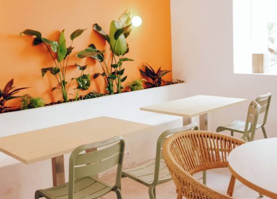 El Patio de Chueca - Hostel 1