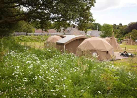 Durrell Wildlife Camp 1