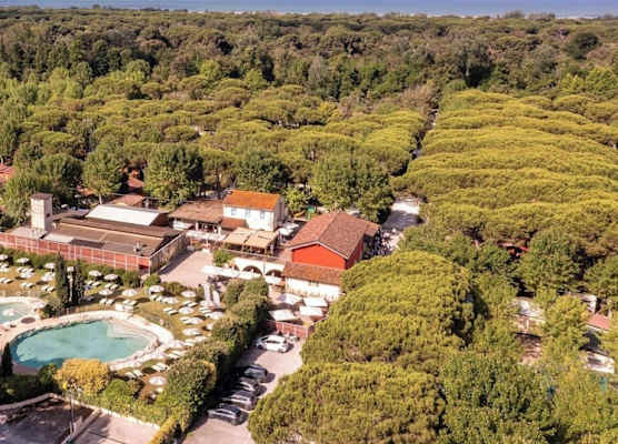 Club del Sole Viareggio Family Collection 1