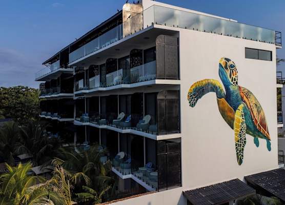 Z Hotel & Z2 Hotel 1