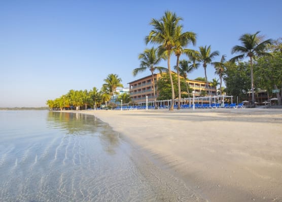 Hotel whala!boca chica - All Inclusive 1