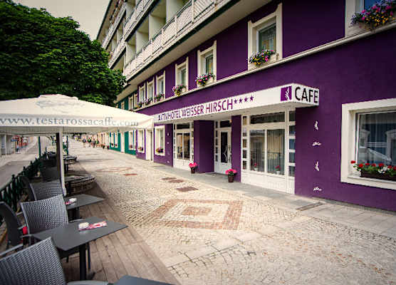 AKTIVHOTEL Weisser Hirsch 1