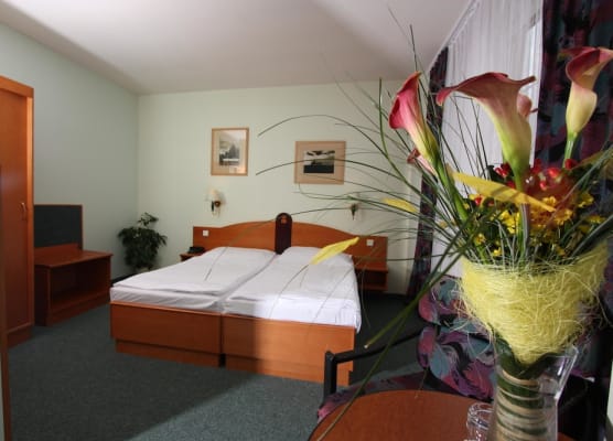 Central Hotel Prague 1