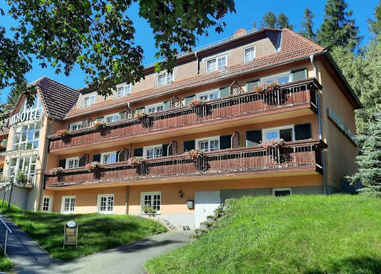 Parkhotel Bad Brambach 1