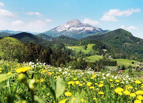 JUFA Hotel Annaberg 1