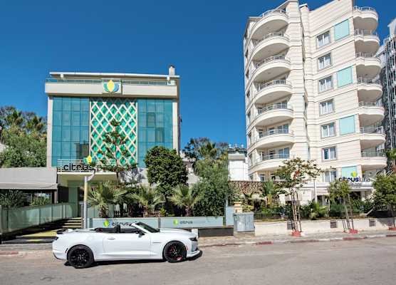 Citrus Park Hotel 1