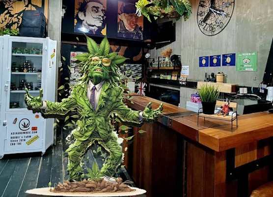 Rent V38 #420 friendly Thailand 1