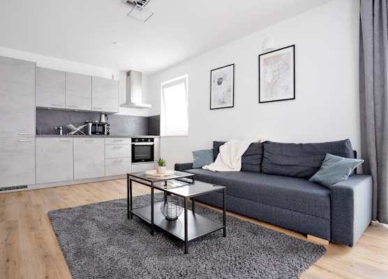Deluxe apartment in the centre of OS 1
