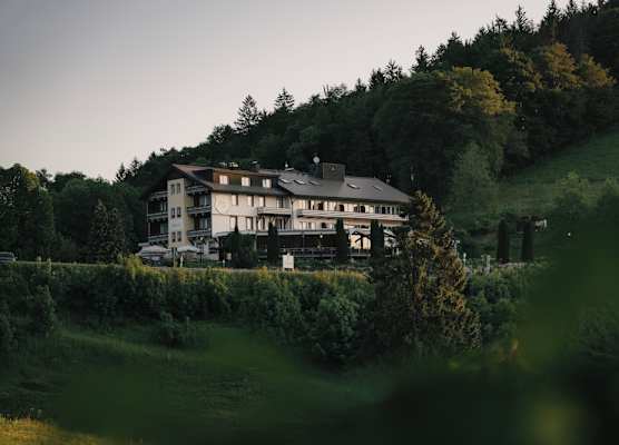 Berghotel Wiedener Eck 1