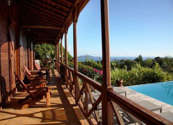 Jardin Malanga 1
