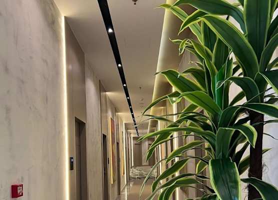 White Hill Hotel, SPA & Conferences 1