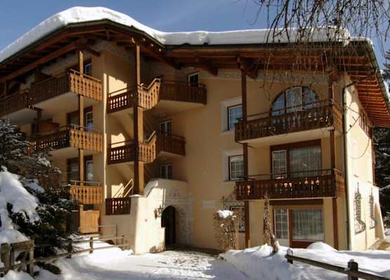 Soldanella by Hotel Adula 1