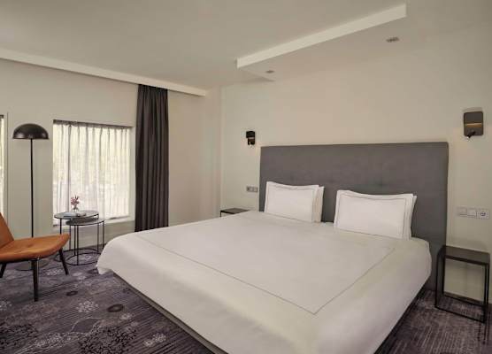 Park Plaza Eindhoven 1