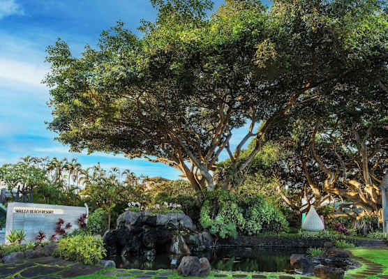 Wailea Beach Resort - Marriott, Maui 1
