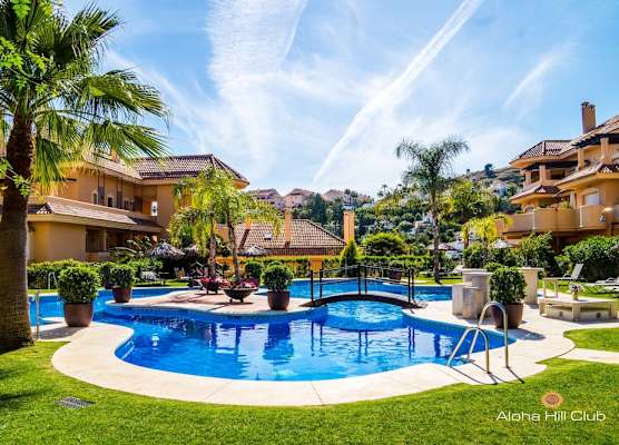 Aloha Hill Club 1