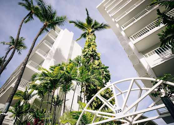 Oasis Hotel Waikiki 1