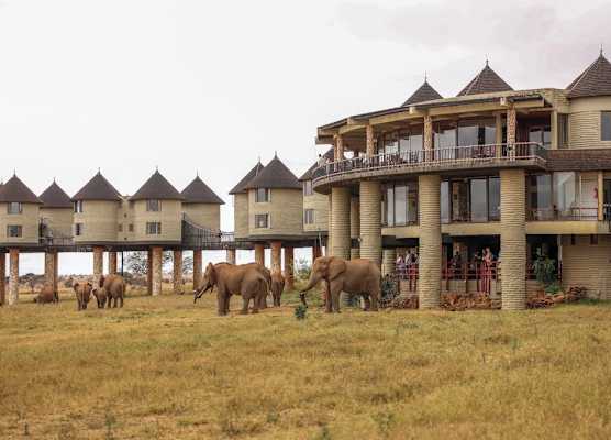 Salt Lick Safari Lodge 1