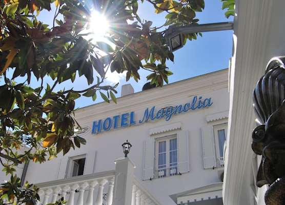 Le Magnolia 1