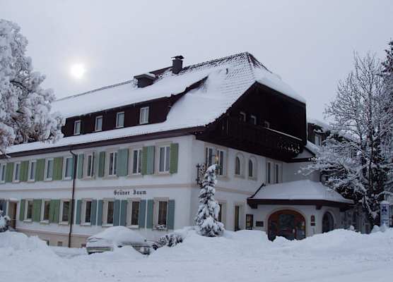 Flair Hotel Grüner Baum 1