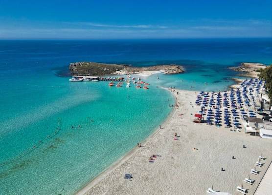 Vassos Nissi Plage Hotel & Spa 1
