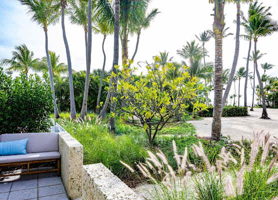 Islander Resort 1