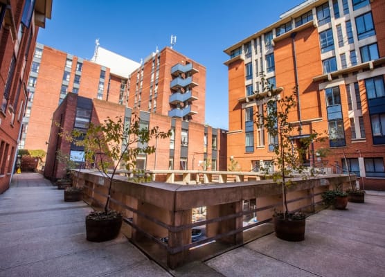 LSE Rosebery Hall 1