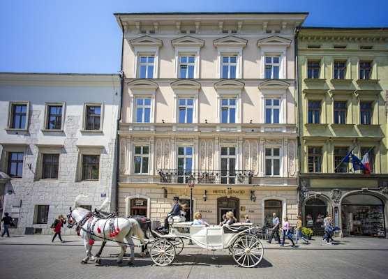 Hotel Senacki 1