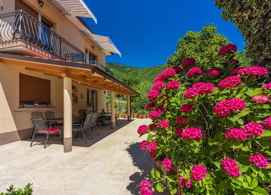 Apartments Branka 1