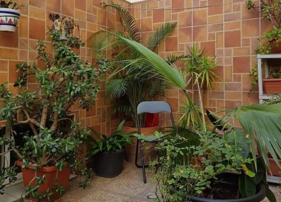 La Vega Rooms 1
