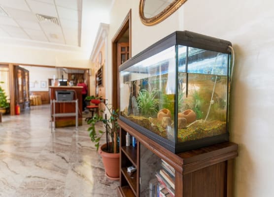 Villa Delle Rose 1