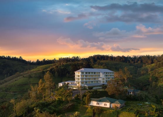 Heritance Tea Factory 1