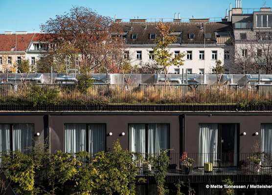 Hotel Indigo VIENNA - NASCHMARKT by IHG 1