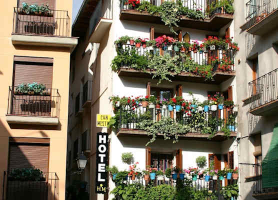 Hotel Can Mestre 1