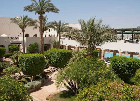 The Sharm Plaza 1