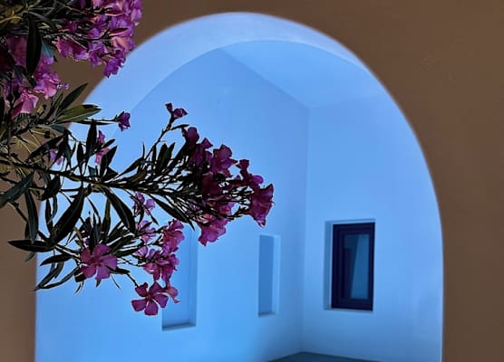 Miracles Suites by Anastasia Princess, Adults Only 1