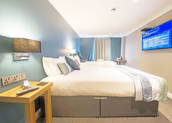 Dolphin Rooms 1