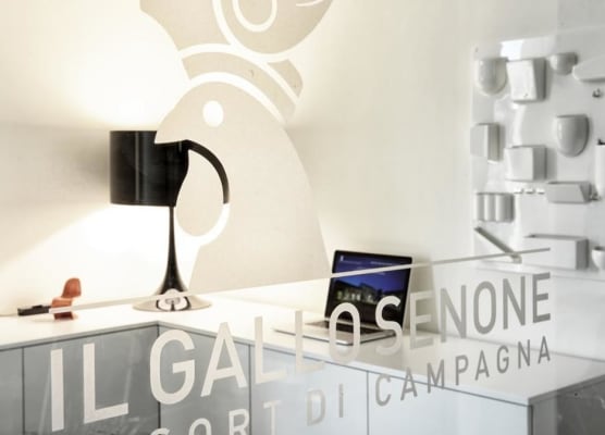 Il Gallo Senone Resort e Spa 1