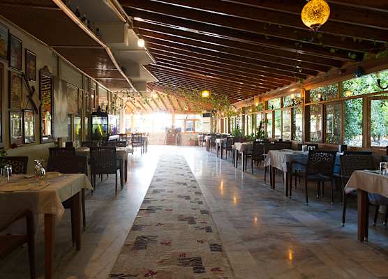 Deniz Kızı Green Garden 1